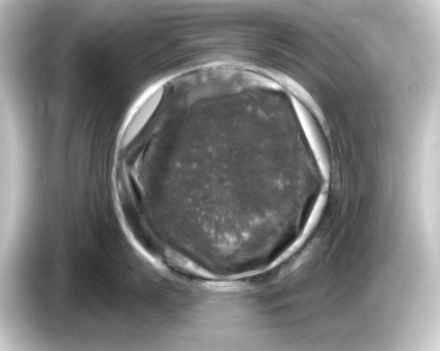 X0000084560863200703161703