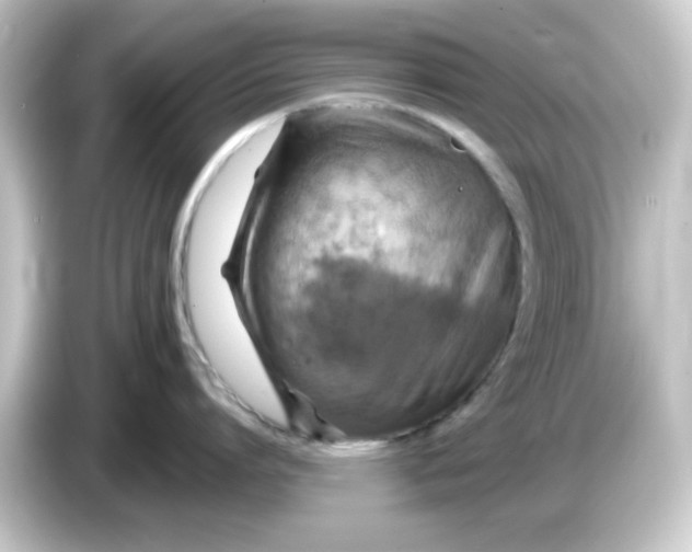 X0000084560864200703161703