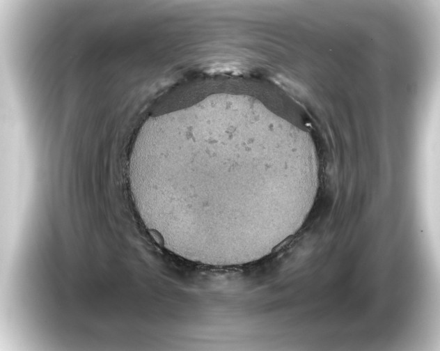 X0000084560865200703161702