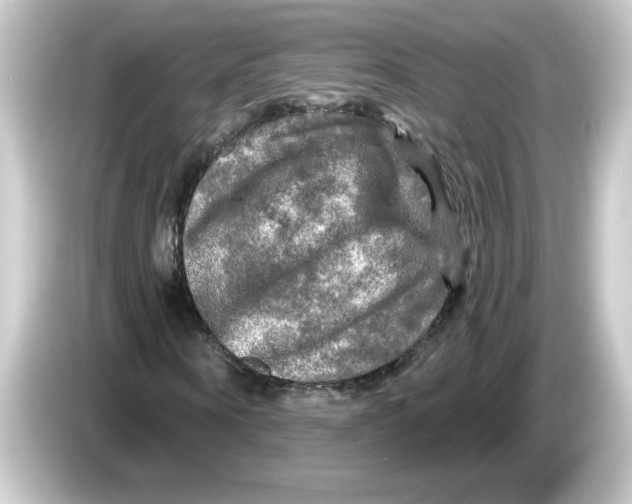 X0000084560866200703161702