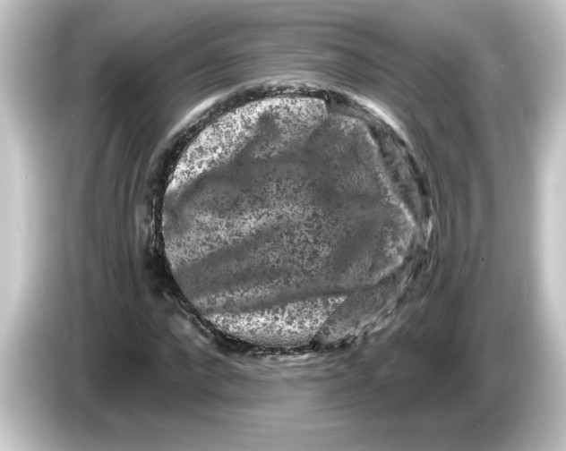 X0000084560872200703161702