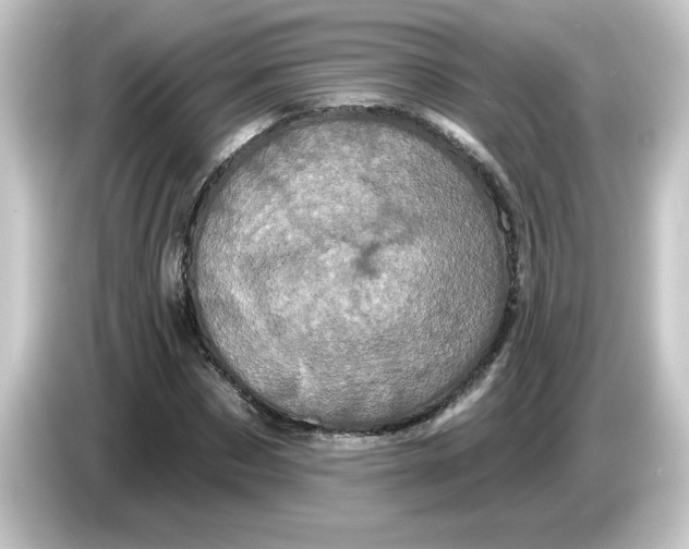 X0000084560873200703161702