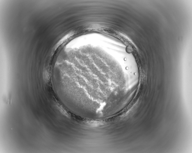 X0000084560874200703161702