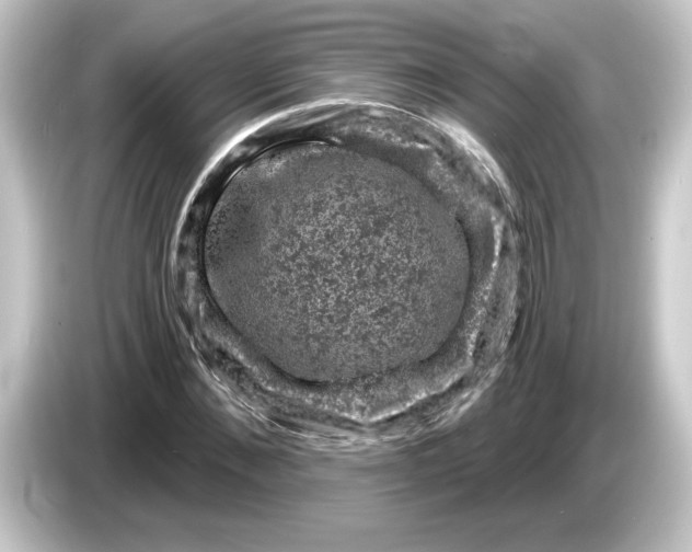 X0000084560876200703161702