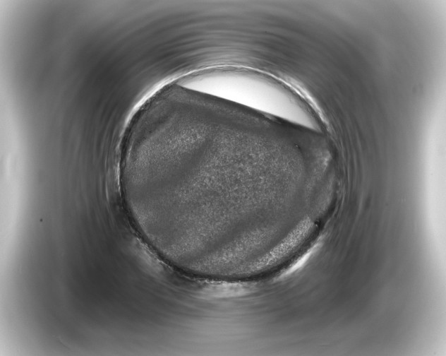 X0000084560877200703161702