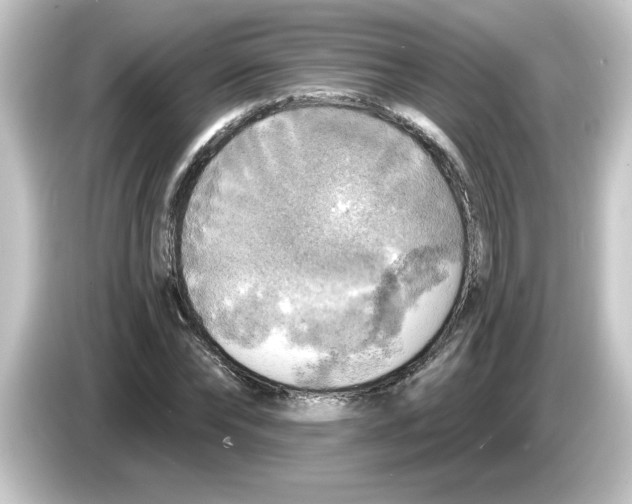 X0000084560878200703161702