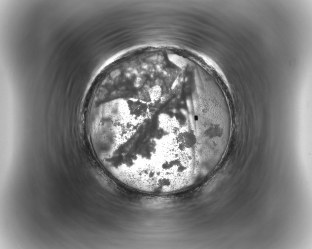 X0000084560879200703161702