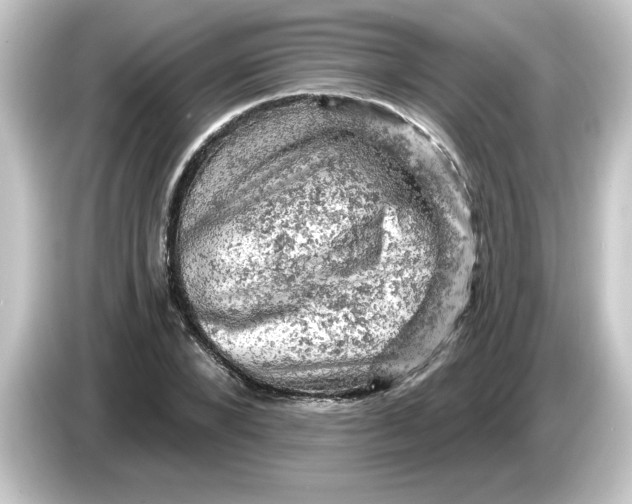 X0000084560880200703161702