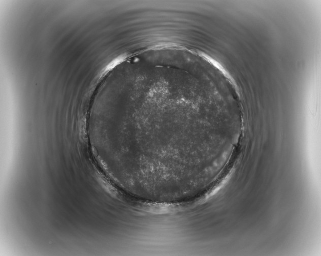 X0000084560881200703161702