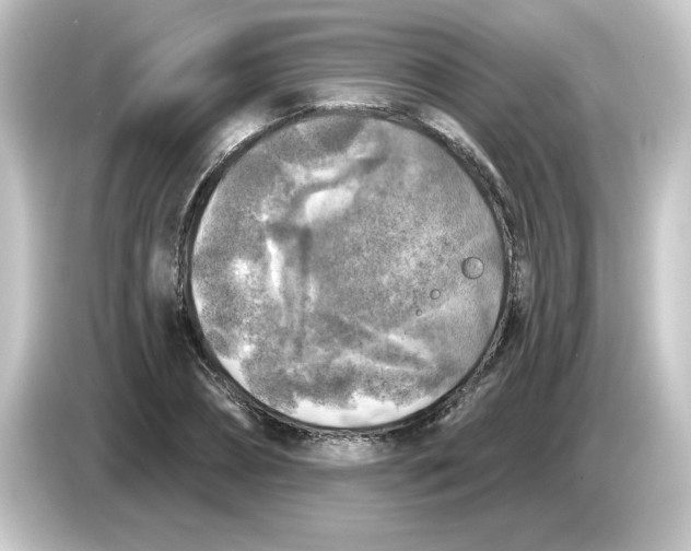 X0000084560882200703161702