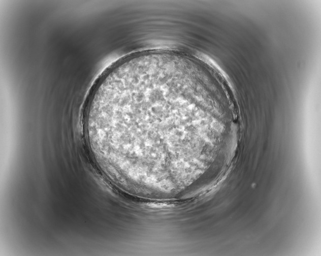 X0000084560883200703161702