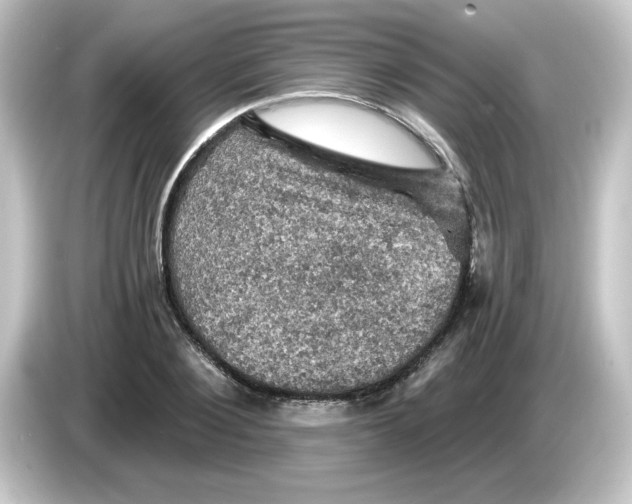 X0000084560884200703161702