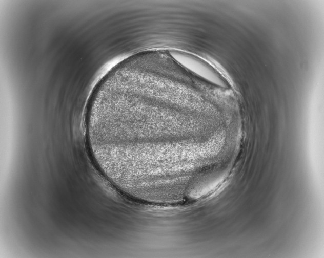 X0000084560885200703161702