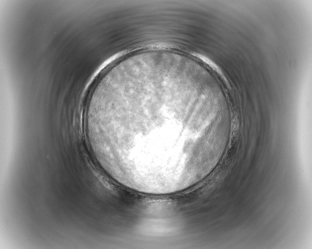 X0000084560886200703161702