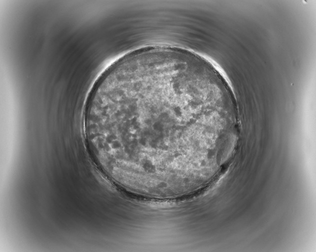 X0000084560887200703161702