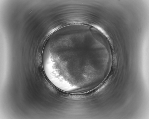 X0000084560889200703161702