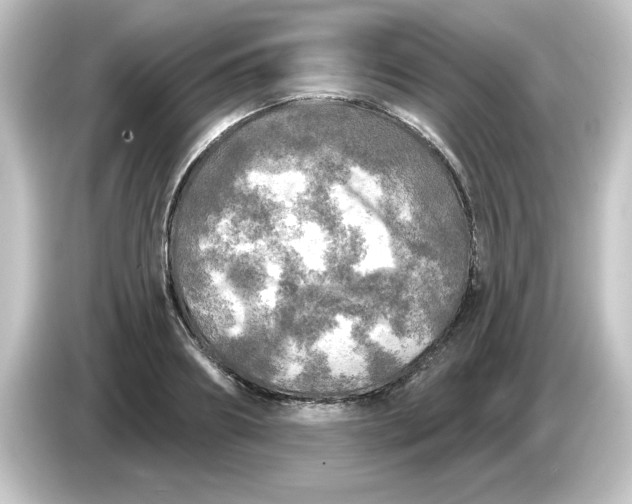 X0000084560890200703161702