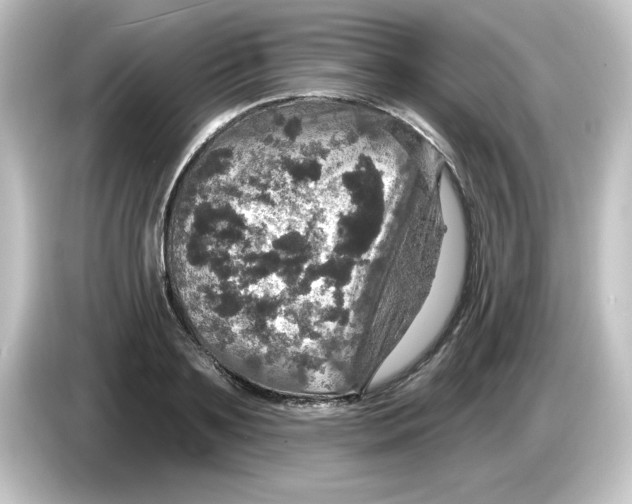 X0000084560891200703161702