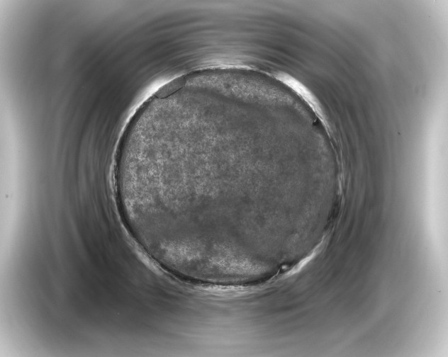 X0000084560893200703161702