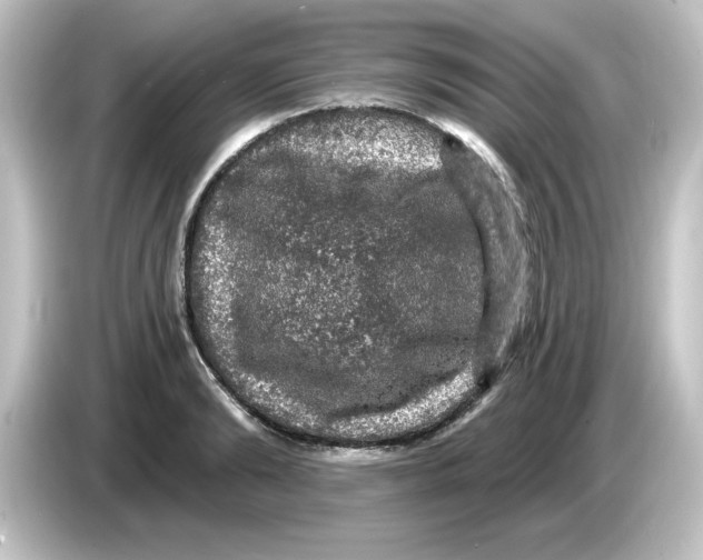 X0000084560894200703161702