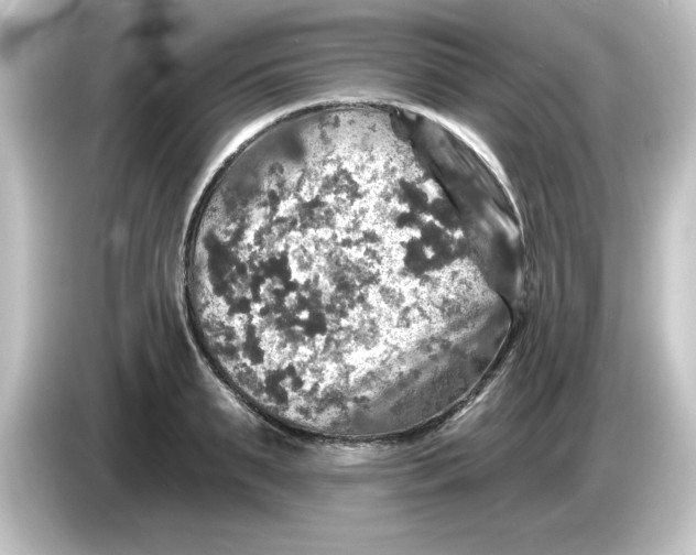 X0000084560895200703161702