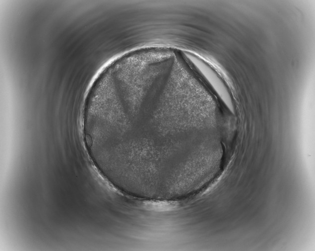 X0000084560896200703161702