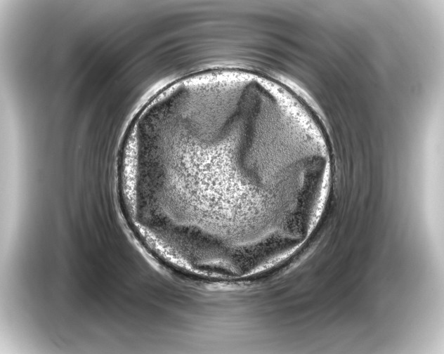 X0000084560898200703161702