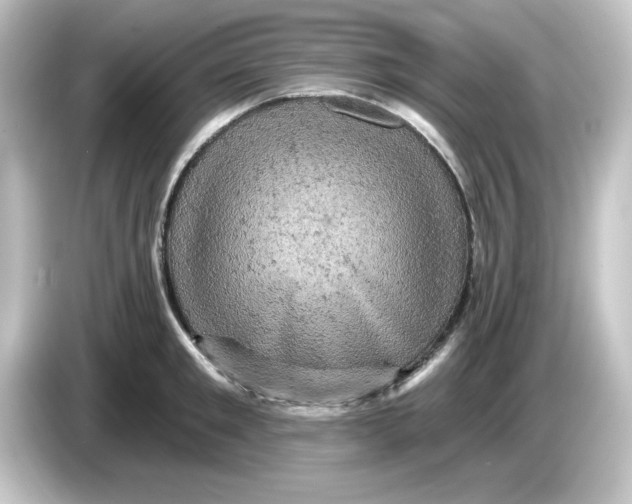 X0000084560901200703161702