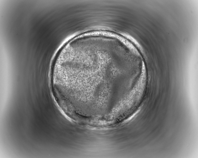 X0000084560902200703161702