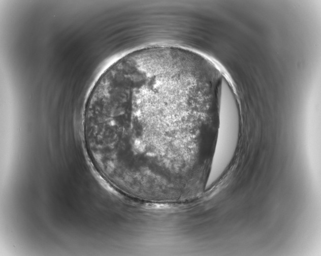 X0000084560903200703161702