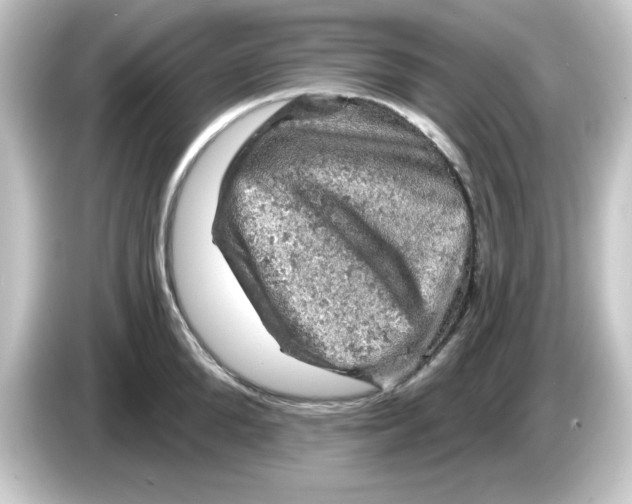 X0000084560904200703161702