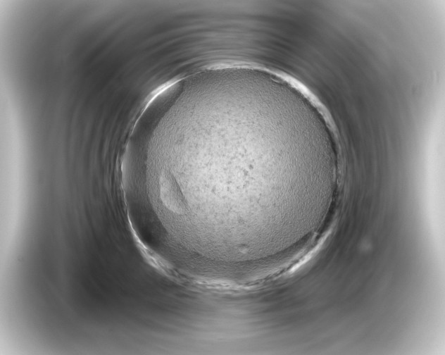 X0000084560905200703161702