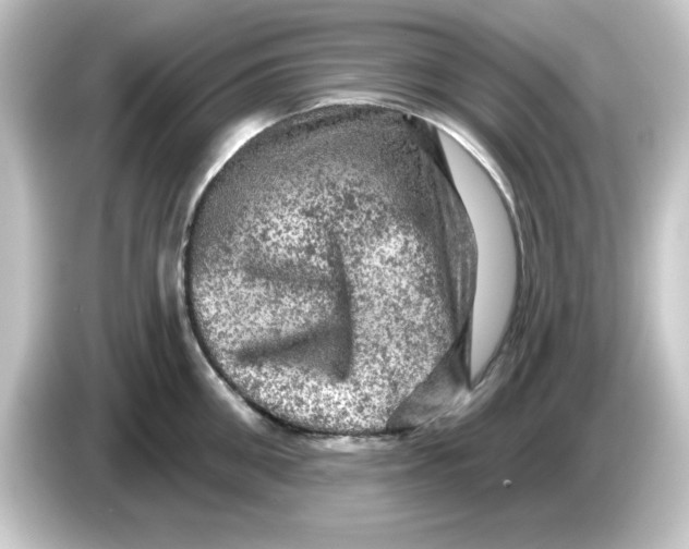 X0000084560906200703161702