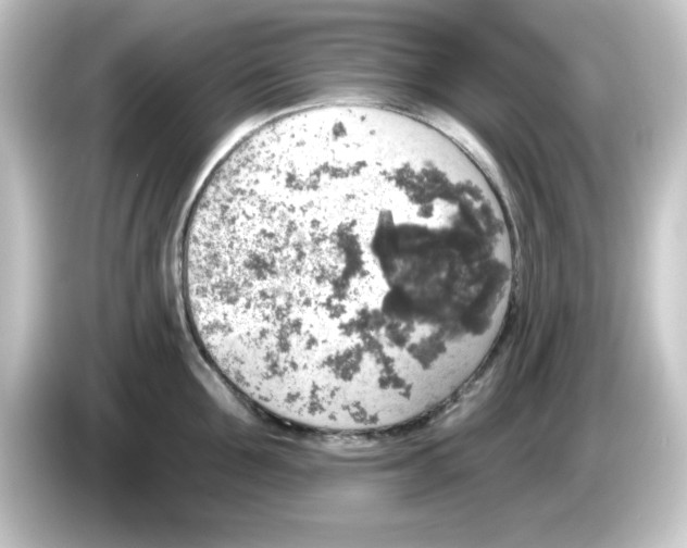 X0000084560907200703161702