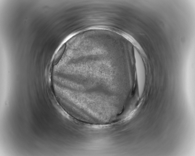 X0000084560908200703161702