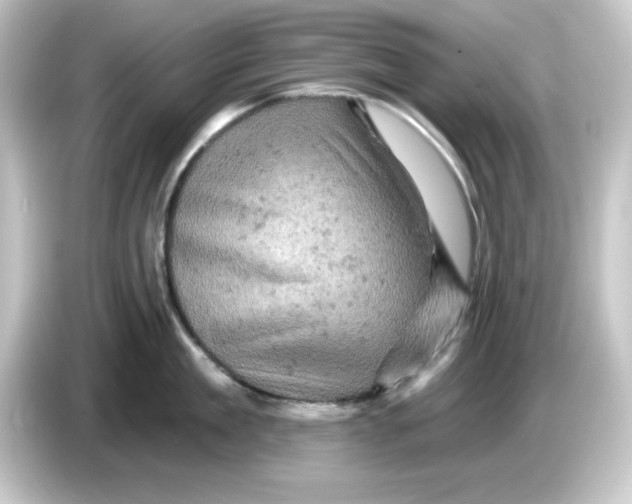 X0000084560909200703161702