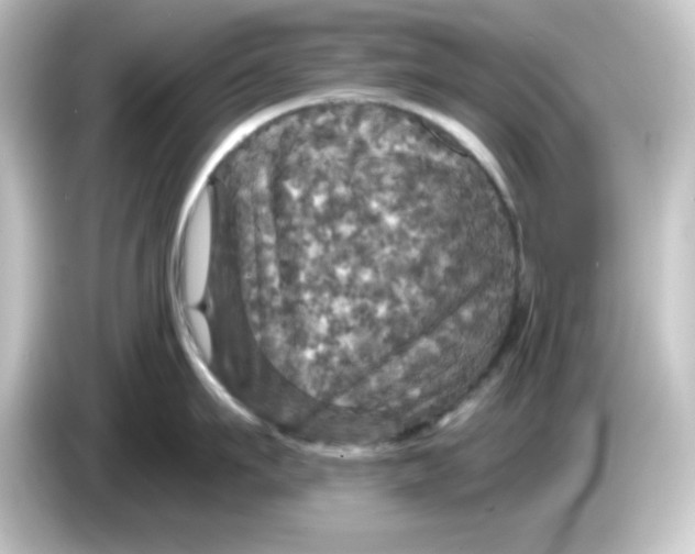 X0000084560911200703161702