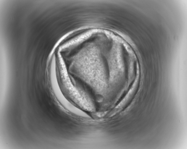 X0000084560912200703161702