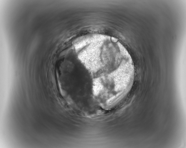 X0000084560913200703161701