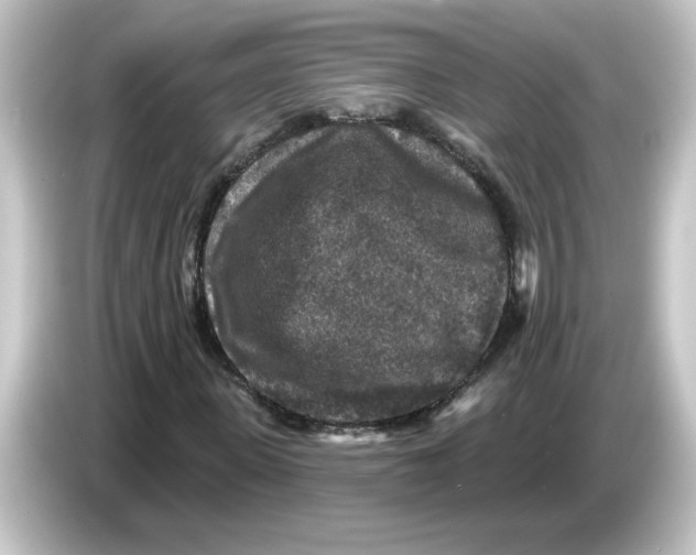 X0000084560915200703161701