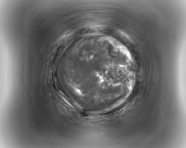 X0000084560917200703161701