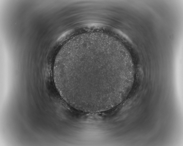 X0000084560918200703161701