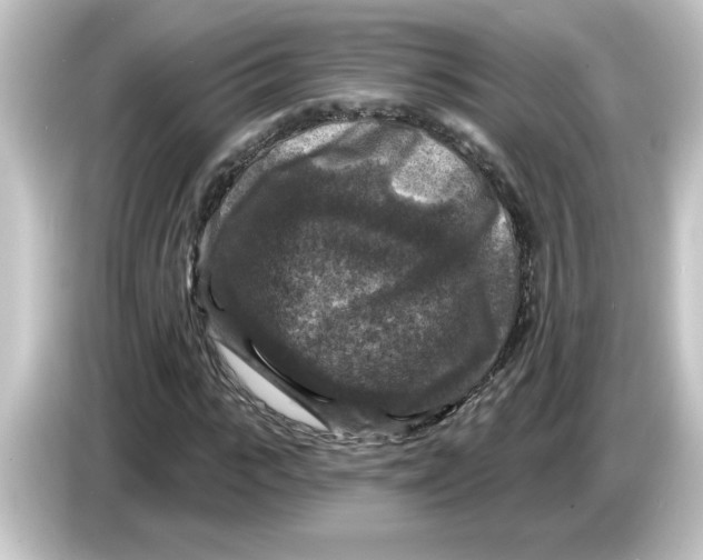 X0000084560919200703161701