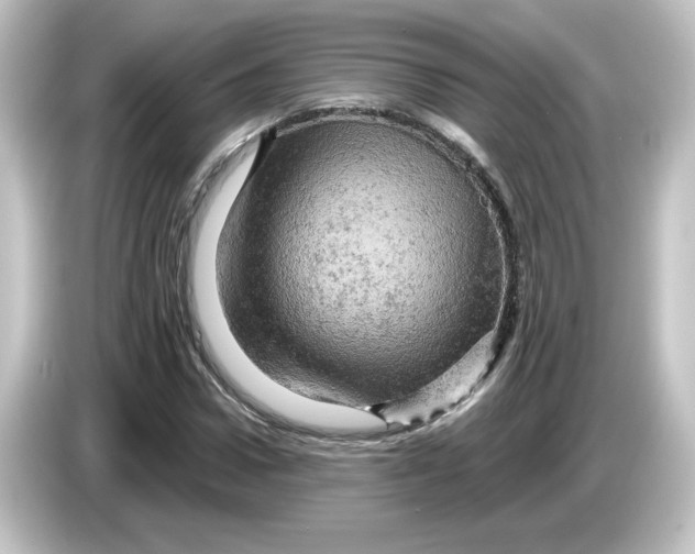 X0000084560922200703161701