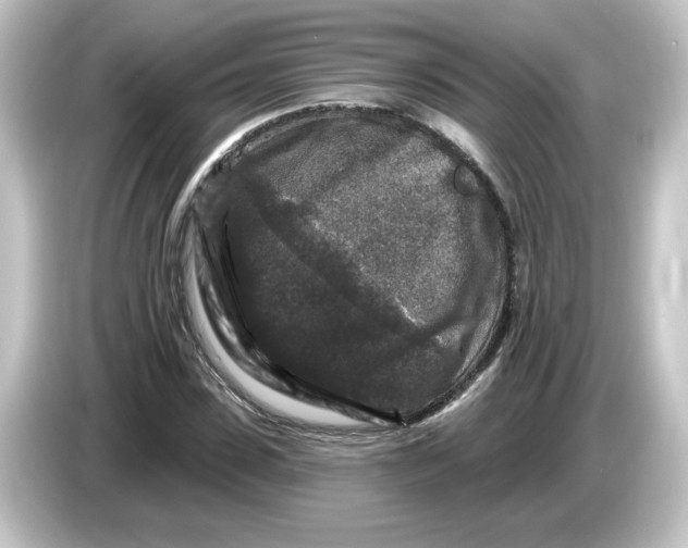 X0000084560923200703161701