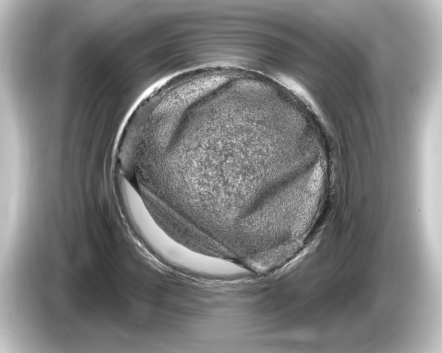 X0000084560924200703161701