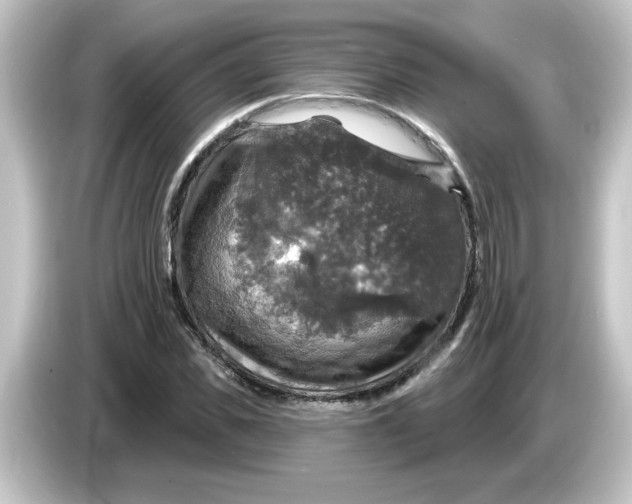 X0000084560925200703161701