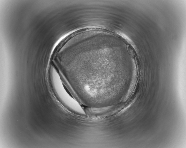 X0000084560928200703161701