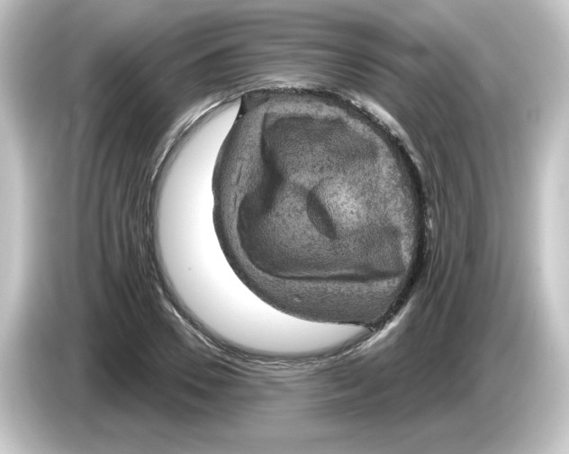 X0000084560930200703161702