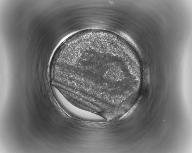 X0000084560932200703161702